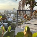 Views Balcony